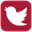 Red Twitter logo